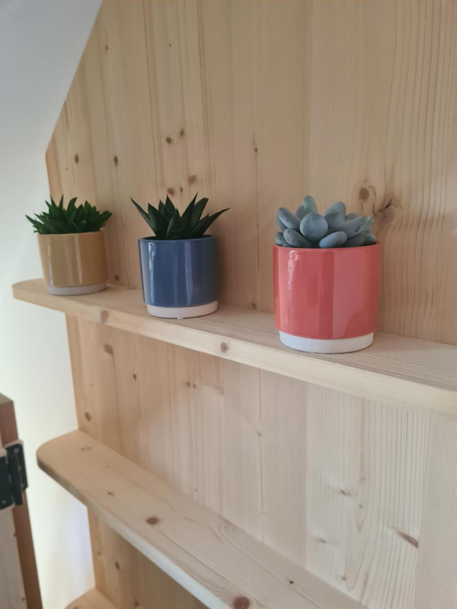 Eco Boutique Hotel Ams Beagle Bled Bagian luar foto