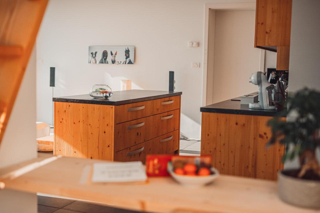 Eco Boutique Hotel Ams Beagle Bled Bagian luar foto